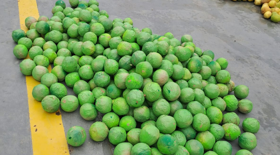 No momento, você está visualizando Cancela a limonada: Cocaína em formato de limões é apreendida em embarcação próximo a Coari