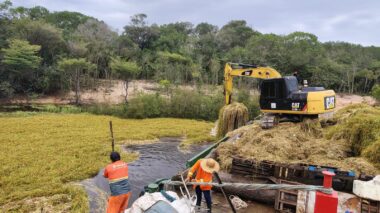 Prefeitura de Manaus realiza limpeza e revitalização em comunidades ribeirinhas e bairros da capital