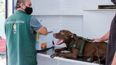 Serviço de castração de cães e gatos da prefeitura abre novos agendamentos na segunda-feira, 3/3