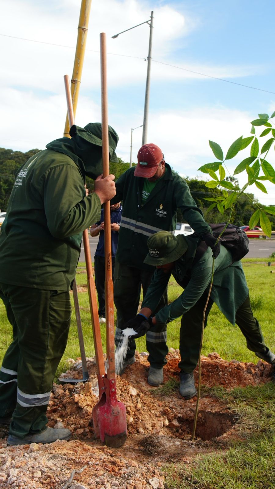 No momento, você está visualizando Prefeitura de Manaus planta 500 novas mudas no Trevo do Rapidão