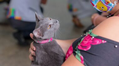 Campanha de vacinação antirrábica animal da Prefeitura de Manaus termina na próxima segunda-feira, dia 31
