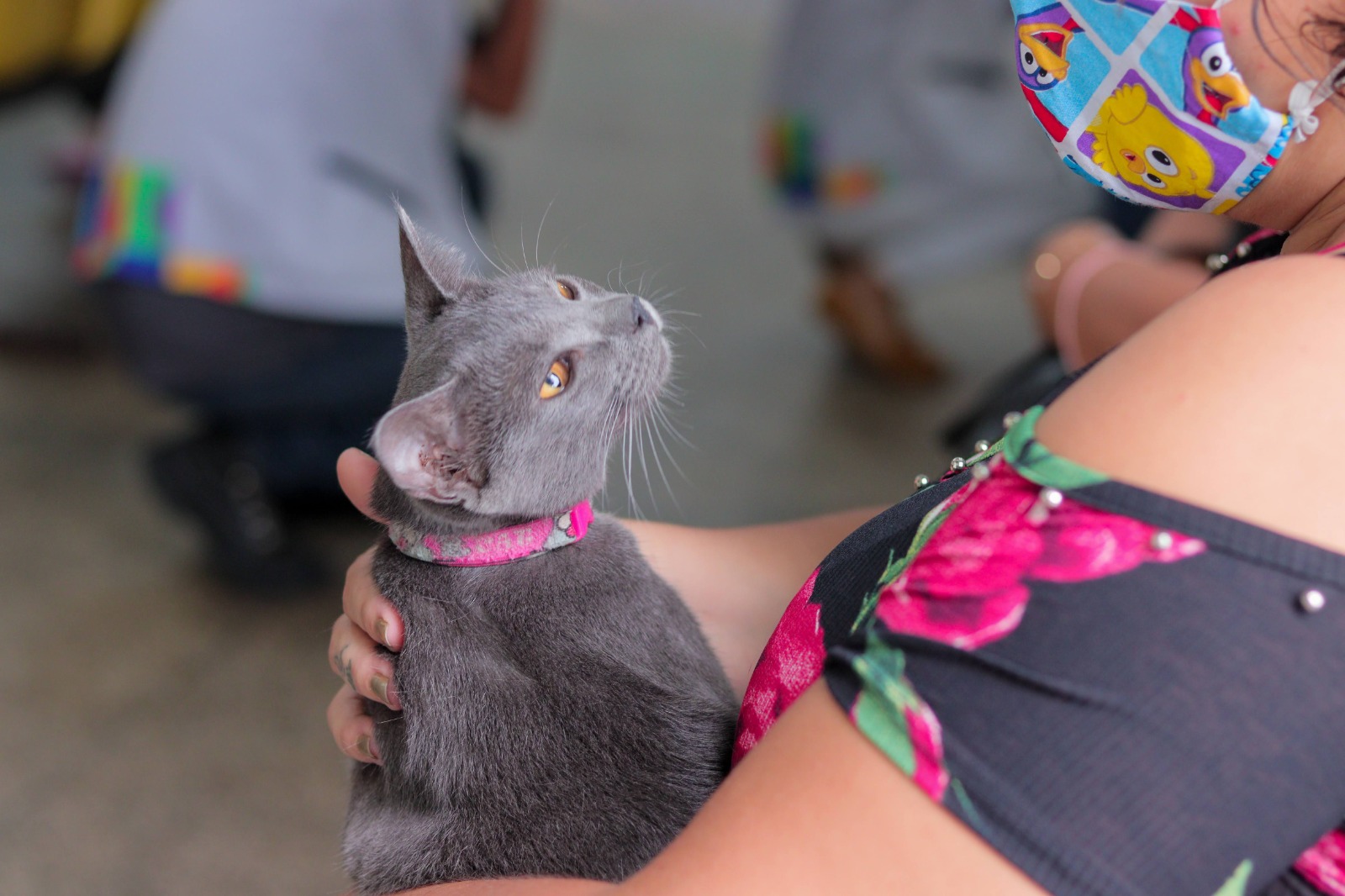 No momento, você está visualizando Campanha de vacinação antirrábica animal da Prefeitura de Manaus termina na próxima segunda-feira, dia 31