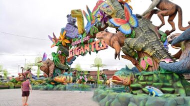 Prefeito David Almeida comemora a marca de 3 milhões de visitantes no parque Gigantes da Floresta