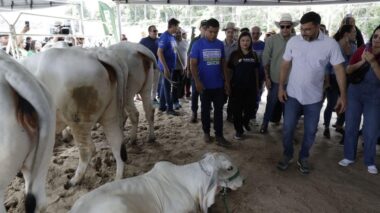 Governador Wilson Lima apresenta comitiva que representará o Amazonas em evento que oficializa estado livre da febre aftosa sem vacinação