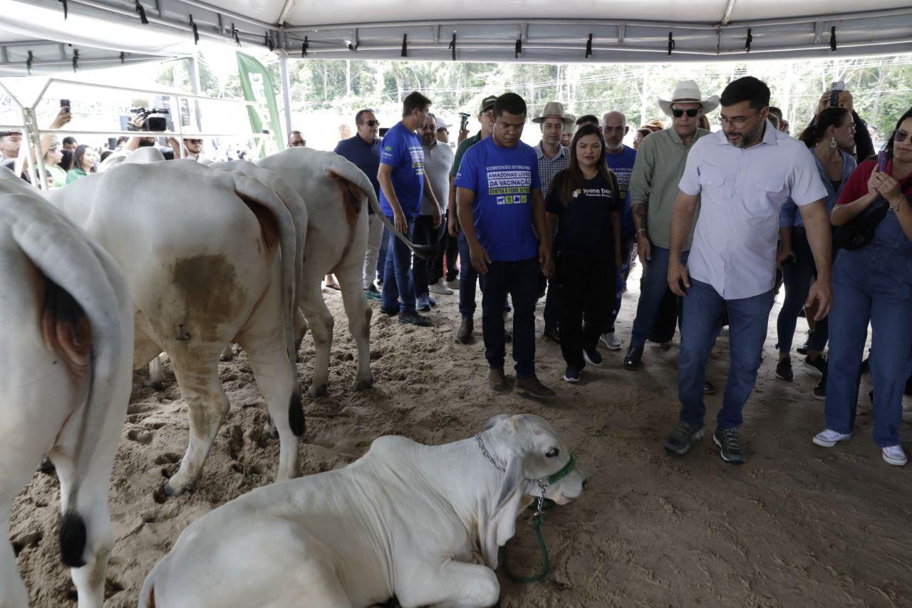 No momento, você está visualizando Governador Wilson Lima apresenta comitiva que representará o Amazonas em evento que oficializa estado livre da febre aftosa sem vacinação
