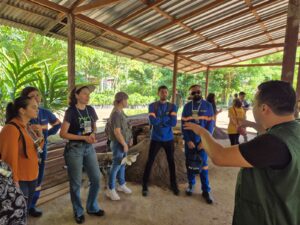Leia mais sobre o artigo Prefeitura de Manaus apresenta Centro de Produção de Mudas e avanços da gestão aos participantes da oficina regional do Plano Nacional de Arborização Urbana