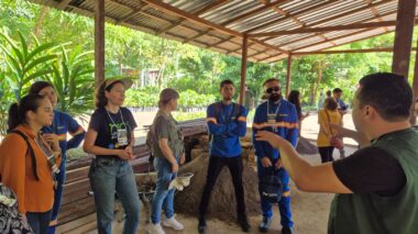 Prefeitura de Manaus apresenta Centro de Produção de Mudas e avanços da gestão aos participantes da oficina regional do Plano Nacional de Arborização Urbana