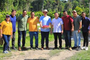 Leia mais sobre o artigo Prefeito em exercício Renato Junior visita plantação de pitaya no ramal do rio Branquinho