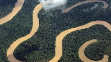 Amazonas tem queda de 93,4% nos registros de focos de calor em julho de 2025
