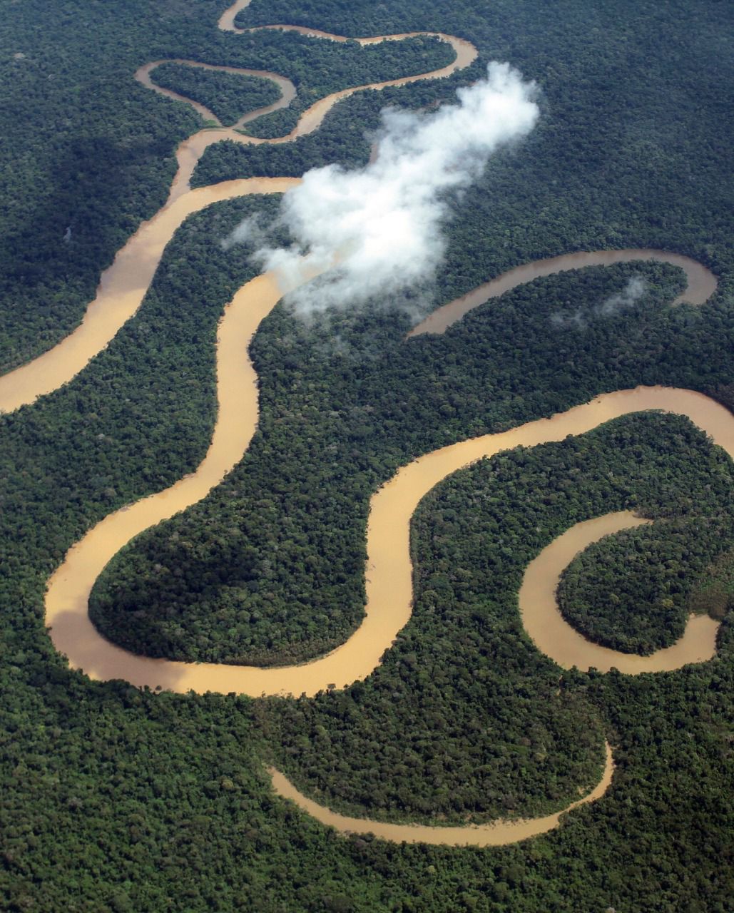 No momento, você está visualizando Amazonas tem queda de 93,4% nos registros de focos de calor em julho de 2025