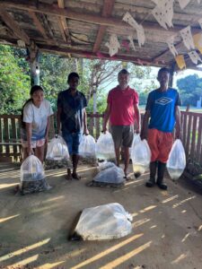 Leia mais sobre o artigo Delegado Péricles articula e piscicultores da BR-174 recebem 10 mil alevinos de tambaqui e matrinxã