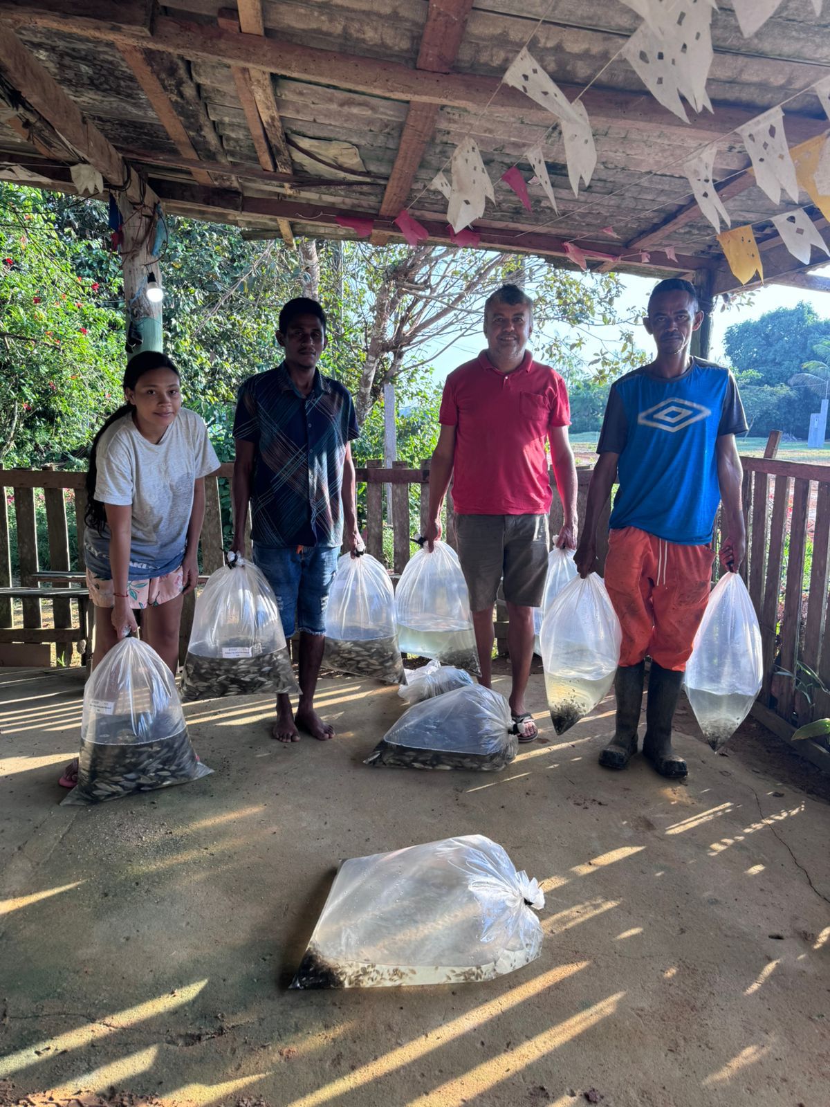 No momento, você está visualizando Delegado Péricles articula e piscicultores da BR-174 recebem 10 mil alevinos de tambaqui e matrinxã