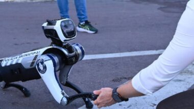 OPERAÇÃO VERDADE: Prefeito David Almeida desmente boato sobre compra de cão-robô após vídeo viral