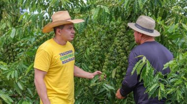 Com emendas de mais de R$ 1 milhão, Delegado Péricles impulsiona a produção de café no Distrito de Realidade, em Humaitá