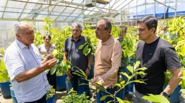 Omar quer transformar produtos da floresta em nova riqueza do Amazonas